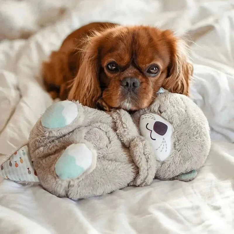 BestBuddy - Beruhigende und kuschelige Plüschtiere