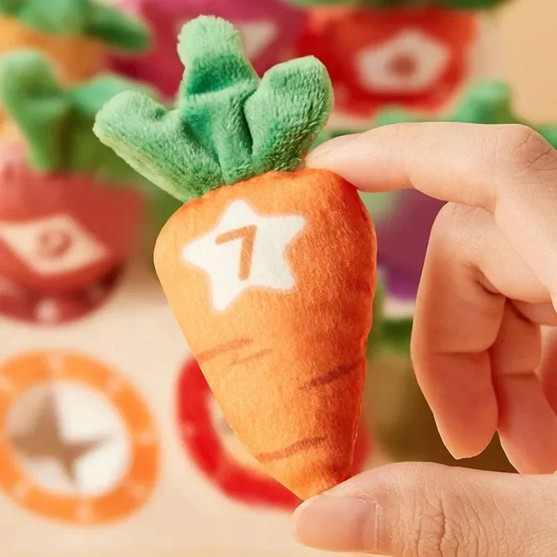Sensory Carrots™ – Fühlen & Ziehen - Sensorisches Spielzeug