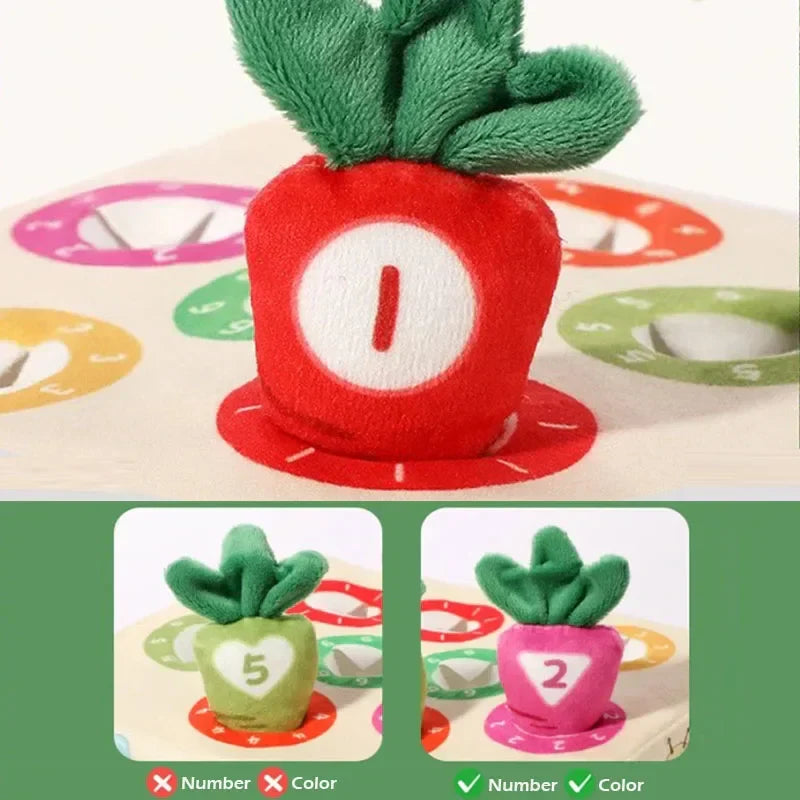 Sensory Carrots™ – Fühlen & Ziehen - Sensorisches Spielzeug